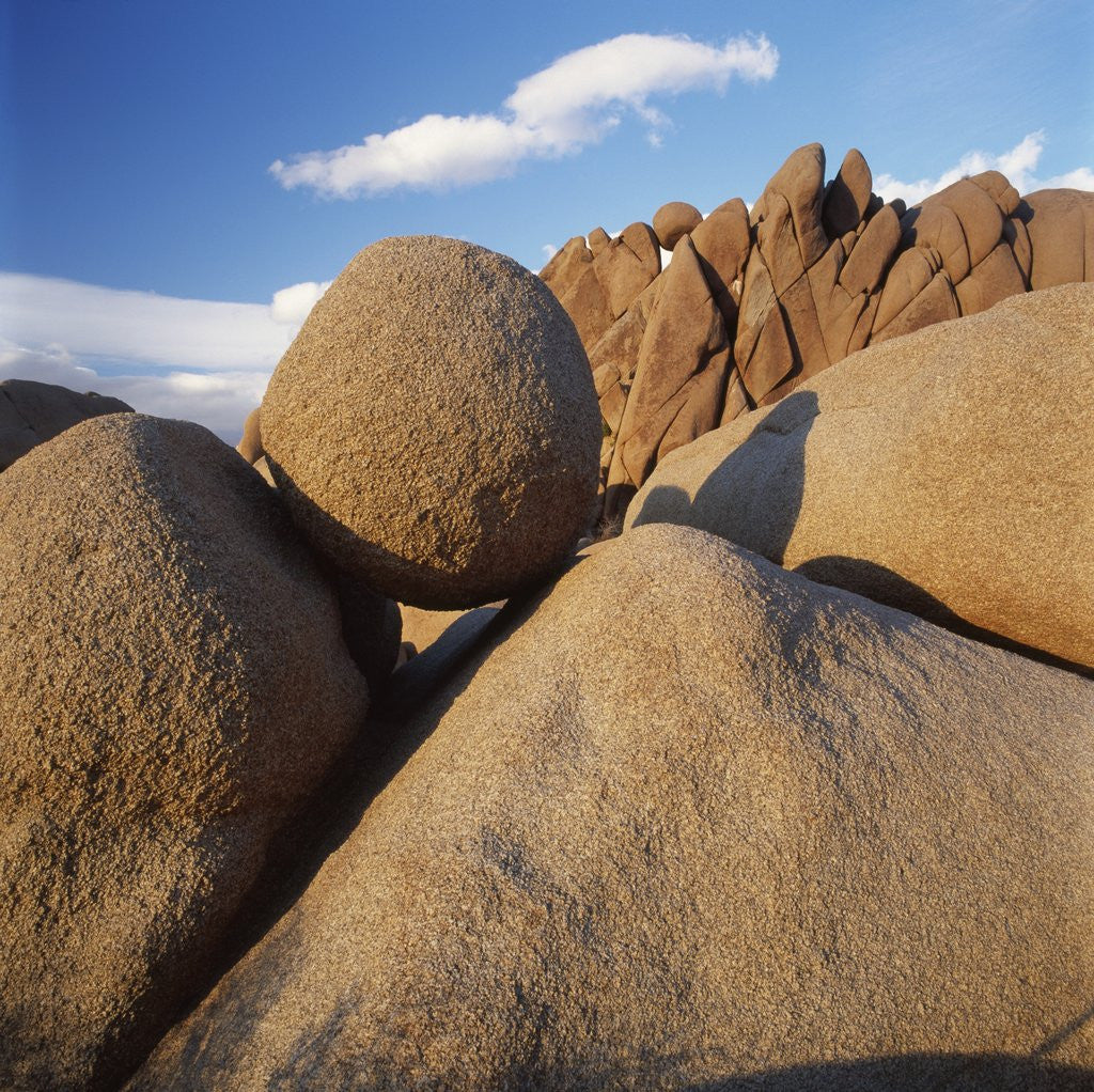 Detail of Rock Formation in Joshua Tree National Park by Anonymous