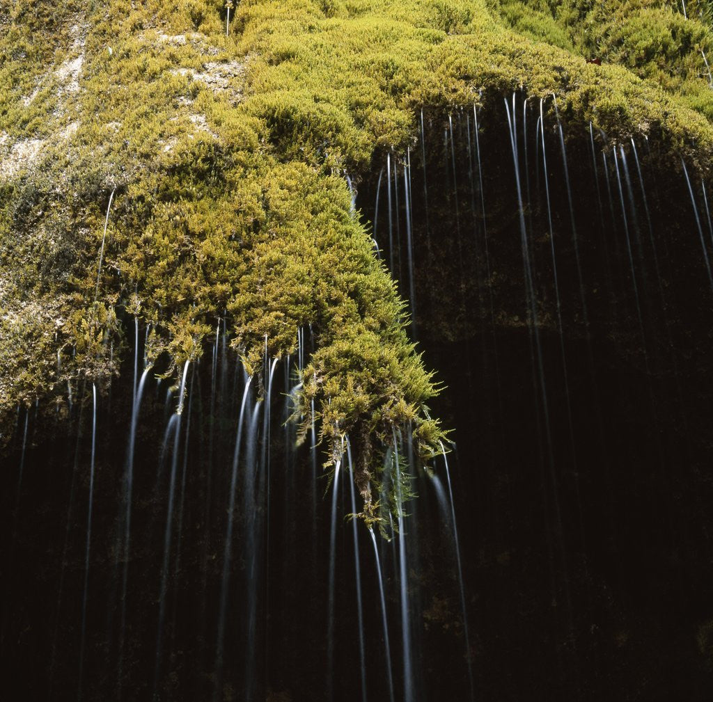 Detail of Water Falling Off Mossy Cliff by Anonymous