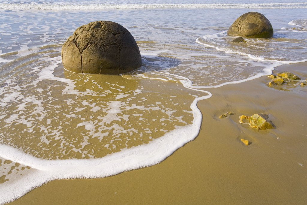 Detail of Large Moeraki Boulders on Koekoche Beach by Anonymous