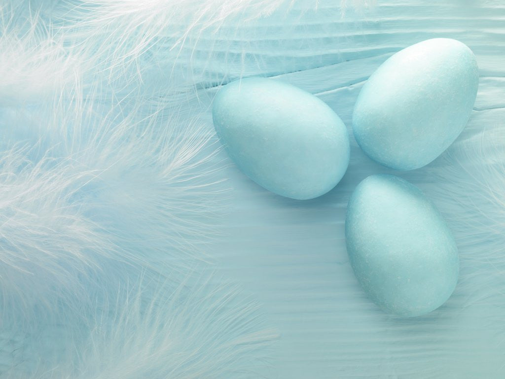 Detail of Blue Eggs and Feathers by Corbis