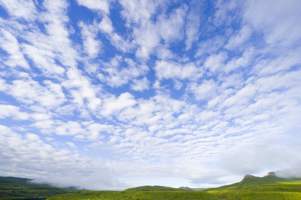 Detail of Green Hills Under Cumulus Clouds in Canada by Anonymous
