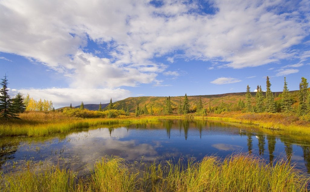 Detail of Cumulus Clouds Above Fall Tundra by Anonymous