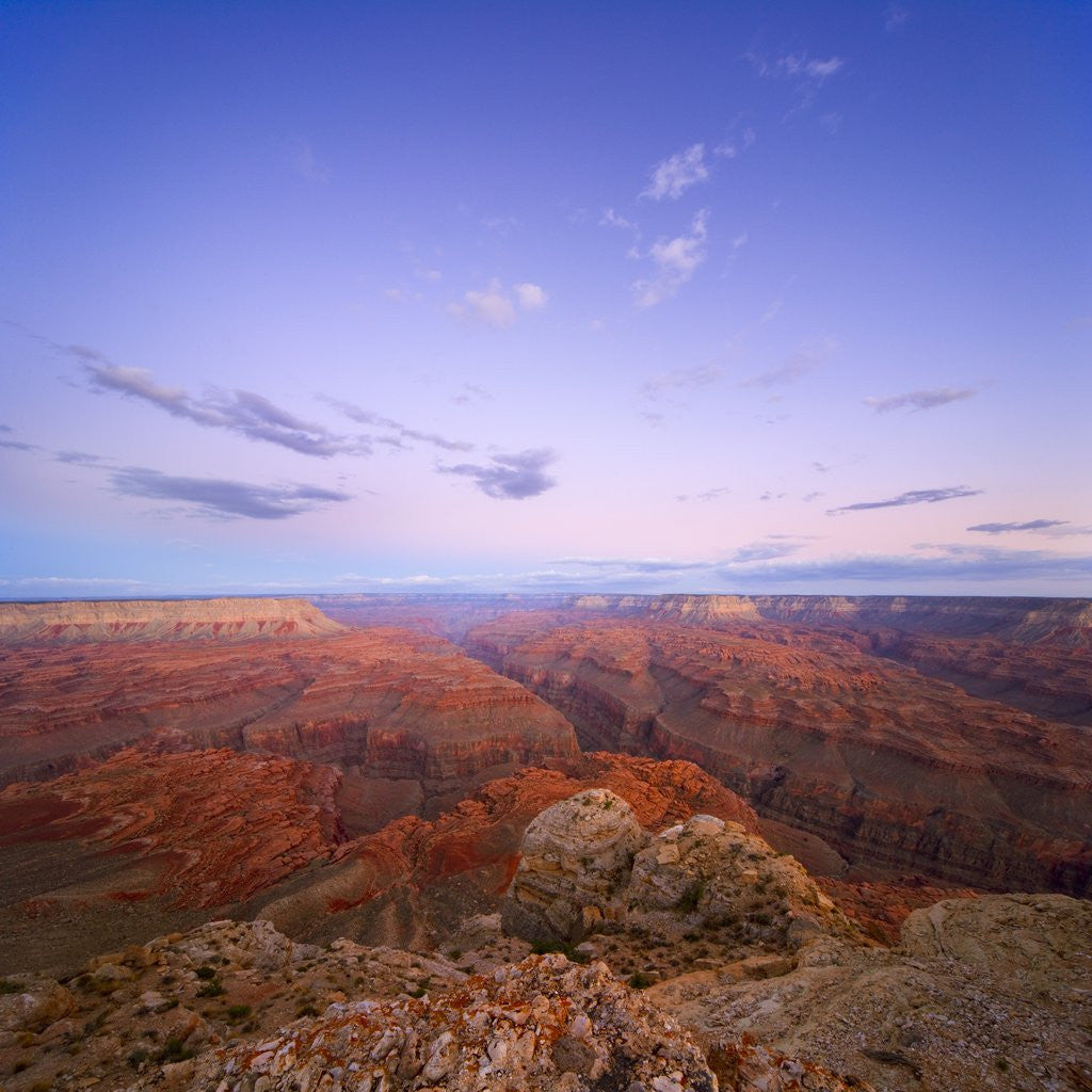 Detail of Canyons and Buttes at Grand Canyon National Park by Anonymous