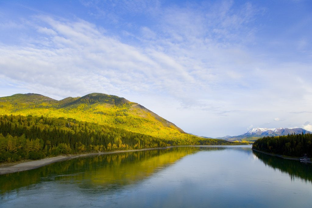 Detail of Liard River in Autumn by Anonymous