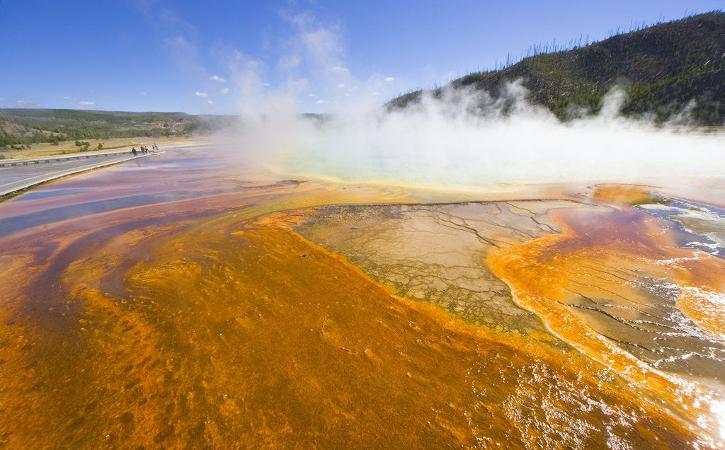 Detail of Grand Prismatic Spring in Yellowstone National Park by Anonymous