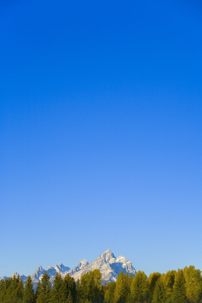 Detail of Grand Teton Range and Clear Sky by Anonymous