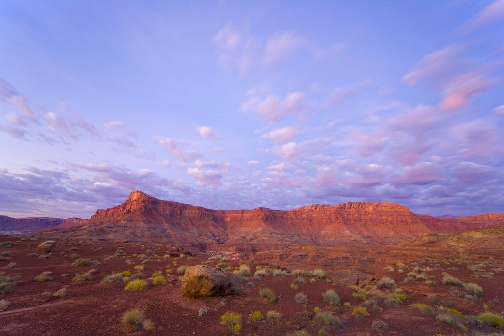 Detail of Sandstone Buttes at Dawn by Anonymous