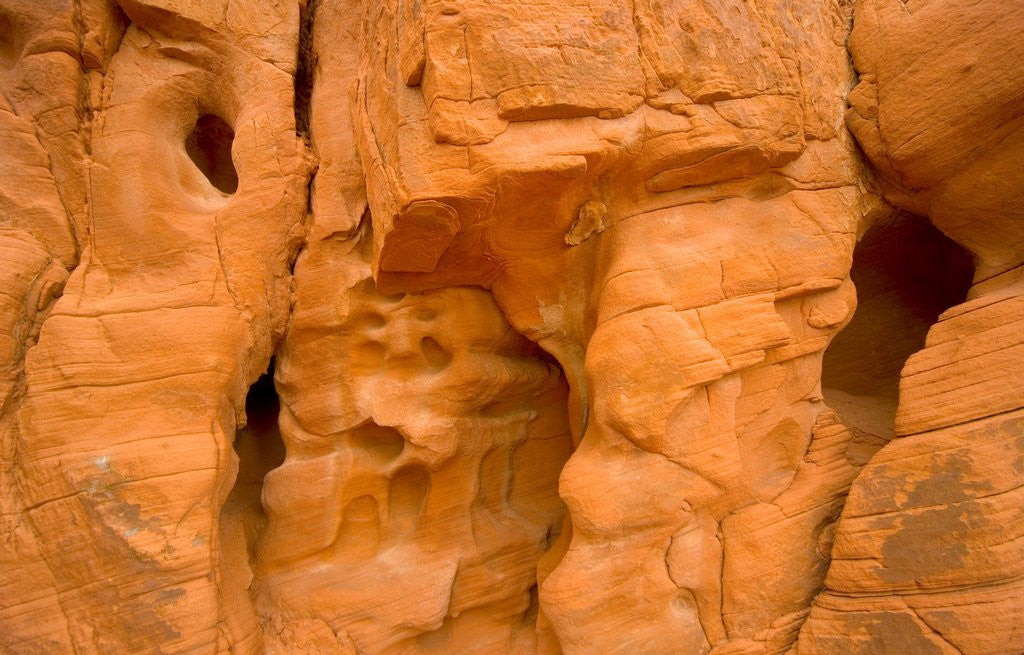 Detail of Eroded Sandstone Cliff With Holes by Corbis