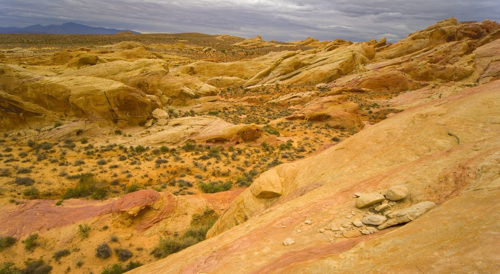Detail of Sandstone Formations in Valley of Fire by Anonymous