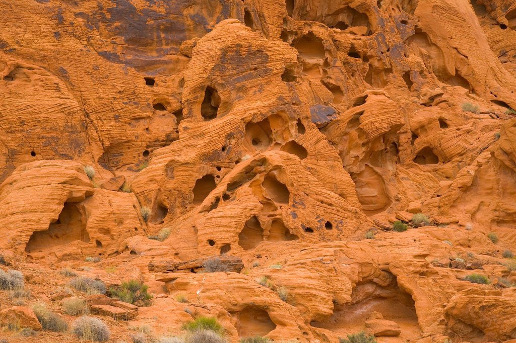 Detail of Eroded Sandstone Cliff With Holes by Corbis