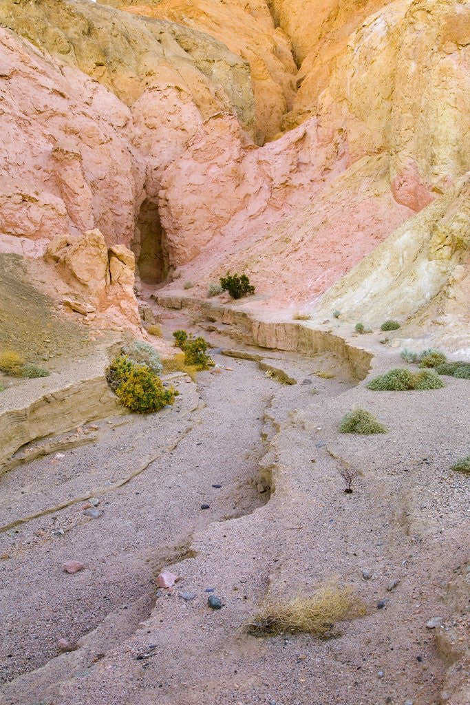 Detail of Artist's Drive in Badlands by Anonymous