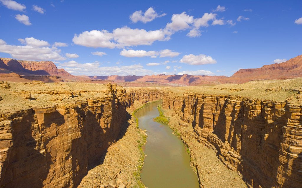 Detail of Marble Canyon and Colorado River by Anonymous