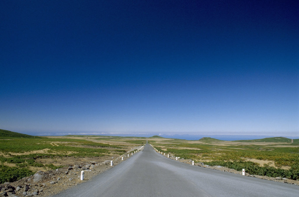 Detail of Road Running to Vanishing Point by Anonymous
