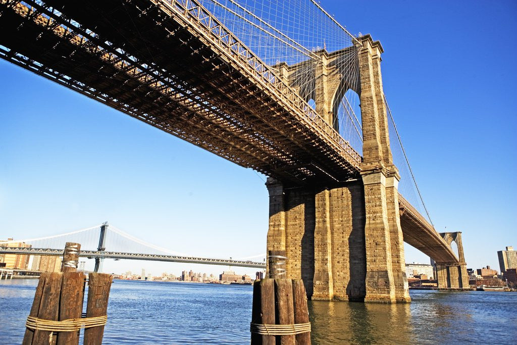Detail of Brooklyn and Manhattan Bridges by Corbis