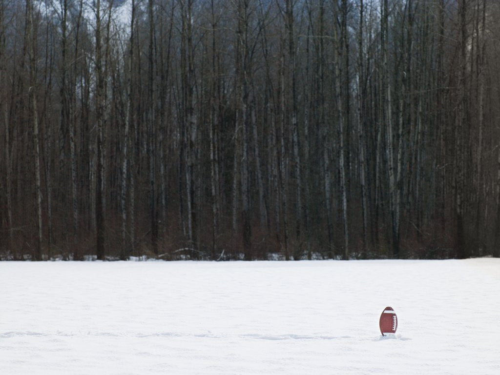 Detail of Football in Snow Covered Field by Anonymous