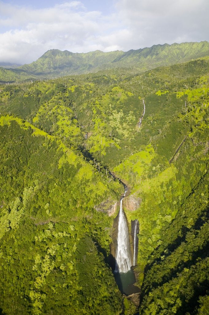 Detail of Aerial View of Waterfall in Waimea Canyon by Anonymous