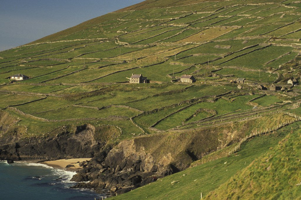 Detail of Farmhouses on Hill at Coast by Anonymous