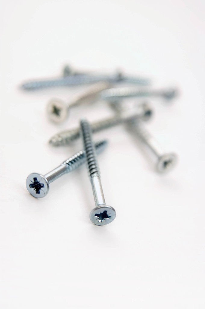 Detail of Screws by Anonymous