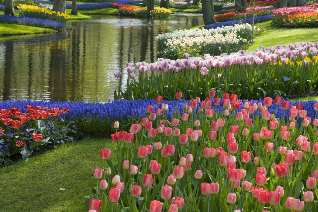 Detail of Spring Tulips by Stream by Anonymous