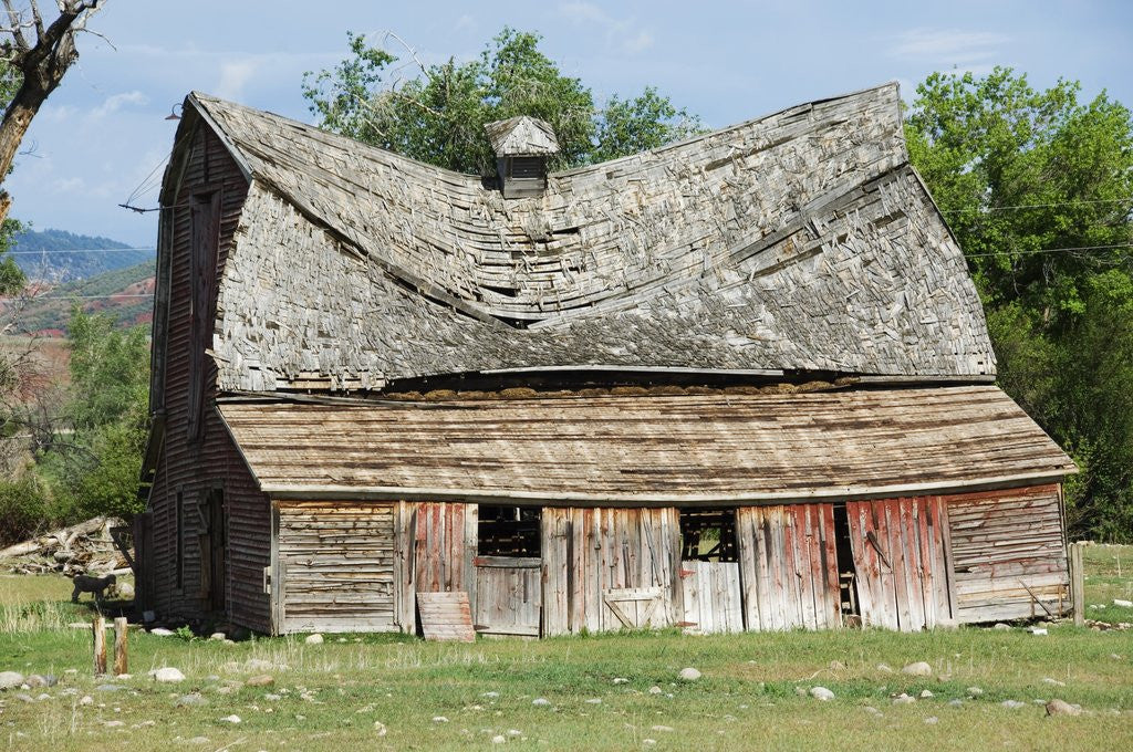 Detail of Collapsing Barn by Anonymous
