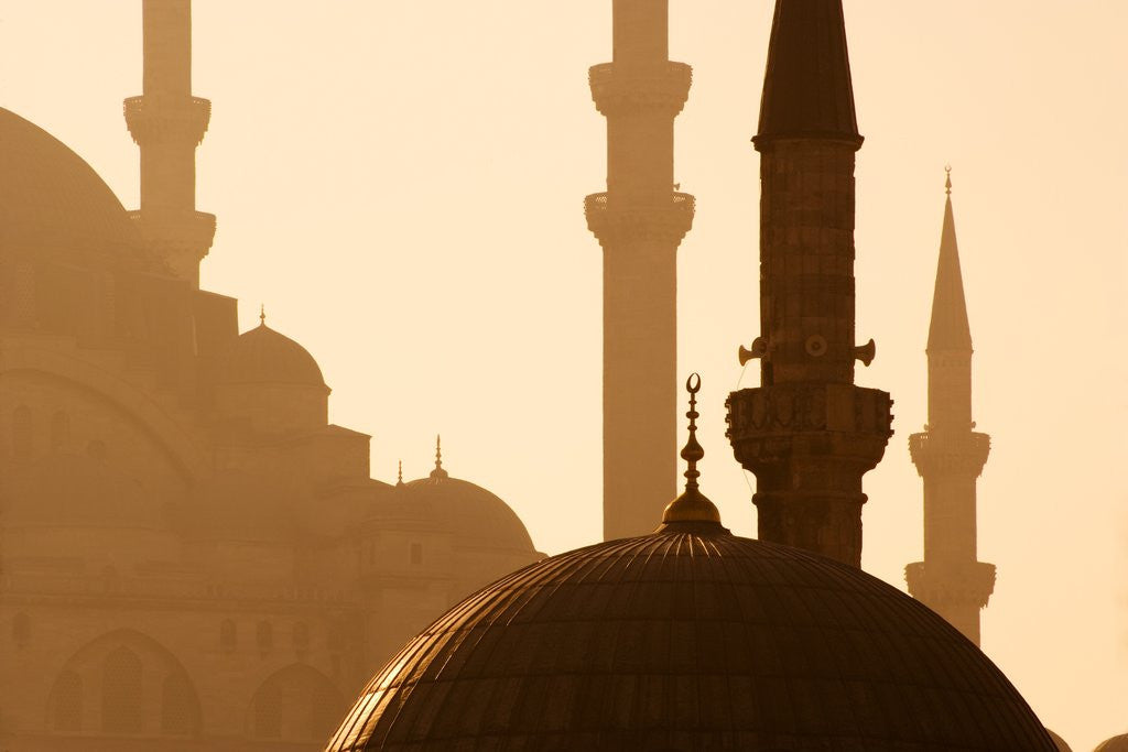 Detail of Two Mosques by Anonymous