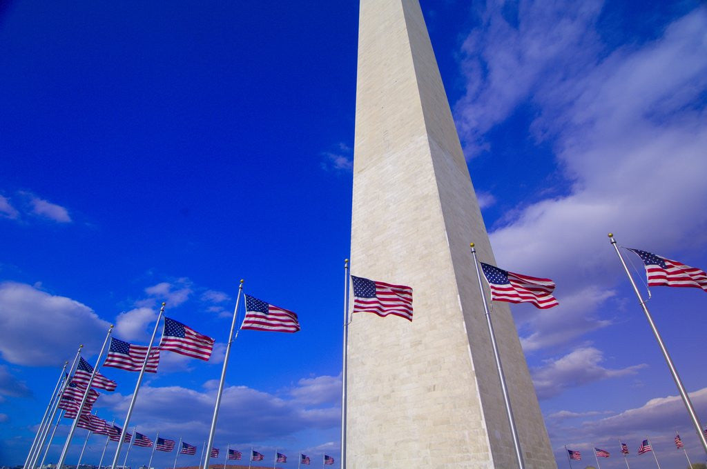 Detail of Flags Surrounding the Washington Monument by Corbis