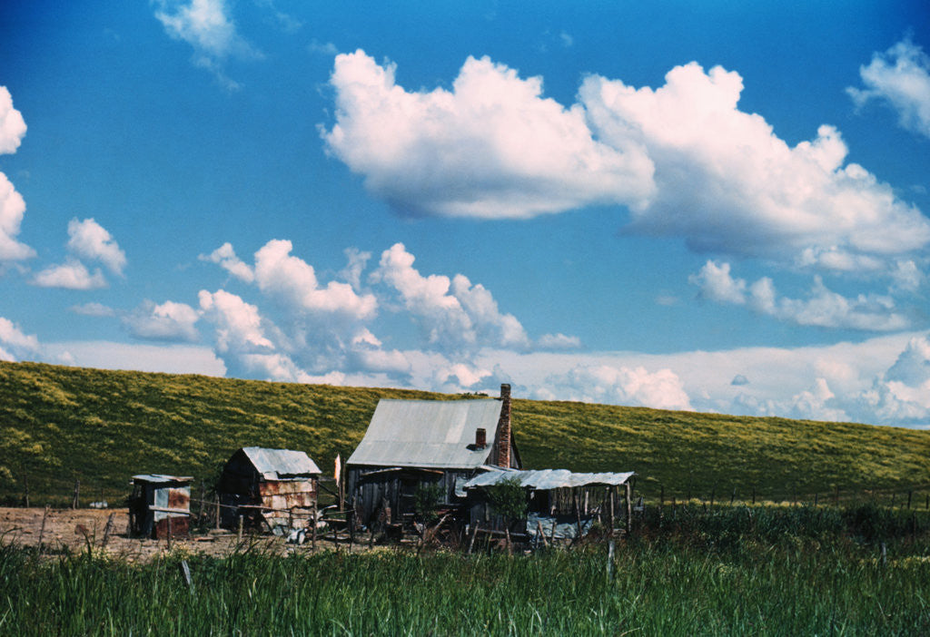 Detail of Sharecropper's Homestead by Corbis