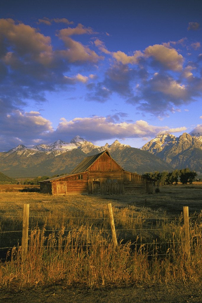 Detail of Barn in Historic Homestead Mormon Row by Anonymous