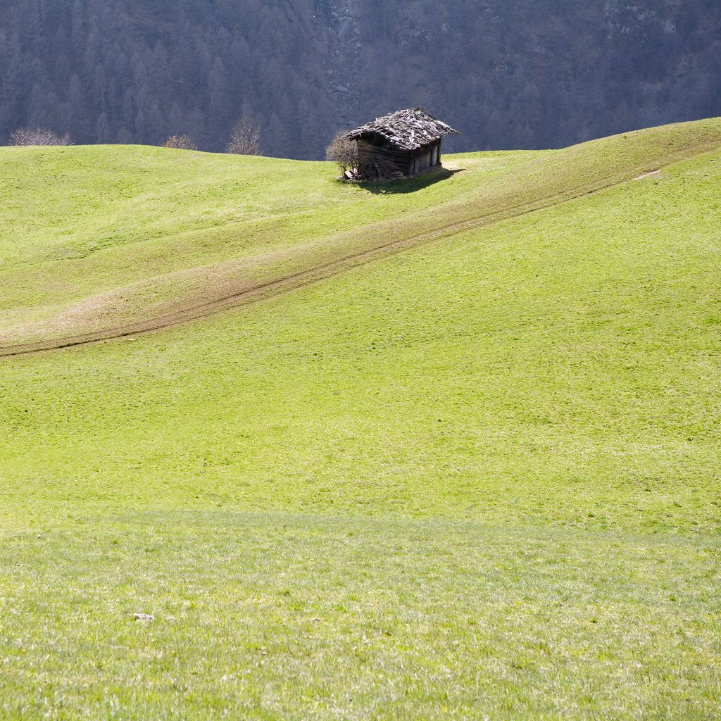 Detail of Mountain Cabin by Anonymous
