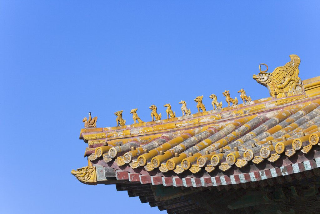 Detail of Traditional Decorative Roof Tiles in the Forbidden City by Corbis