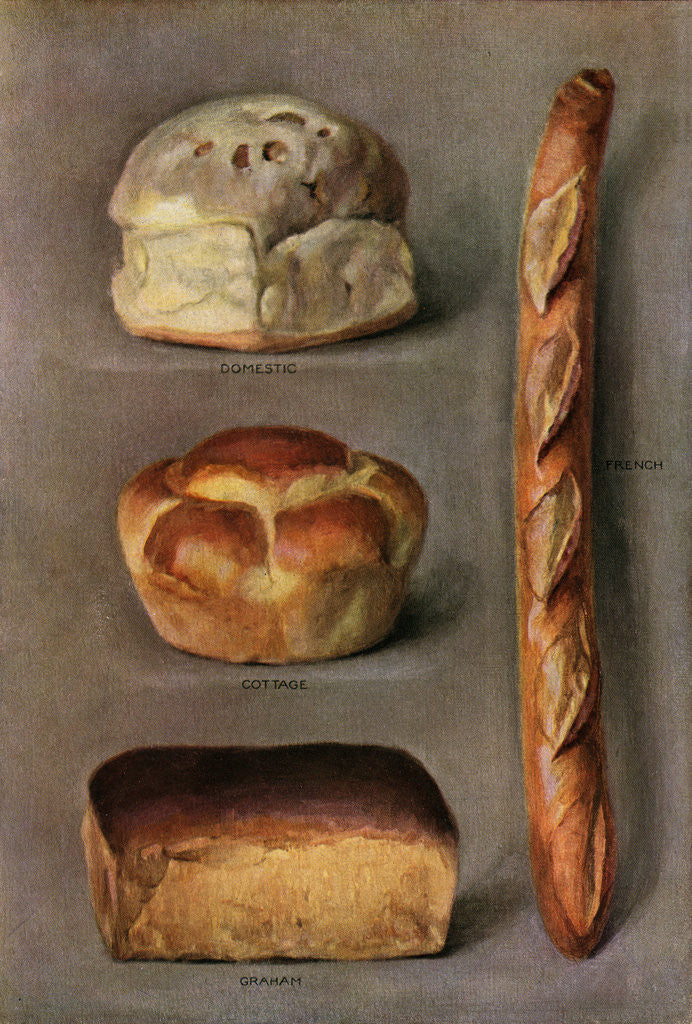 Detail of Illustration of Four Kinds of Bread by Anonymous