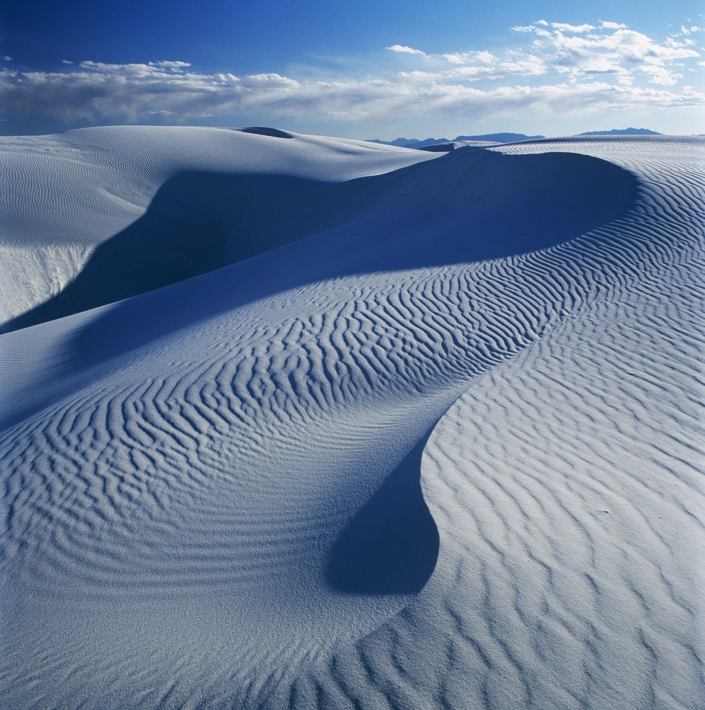 Detail of Sand Dune by Corbis