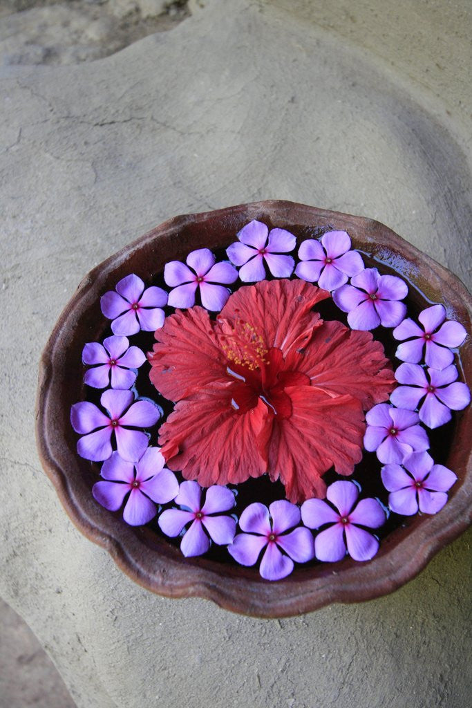 Detail of Flowers Floating in Bowl of Water by Anonymous