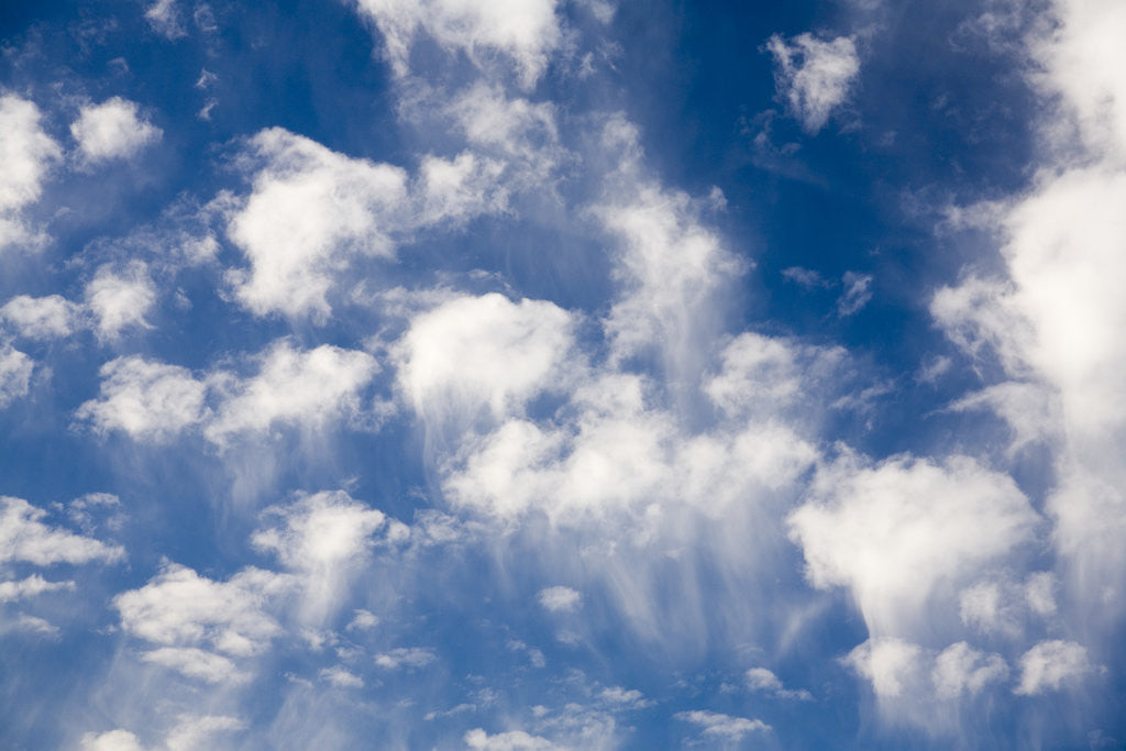 Detail of Wind Swept Clouds in Blue Sky by Anonymous
