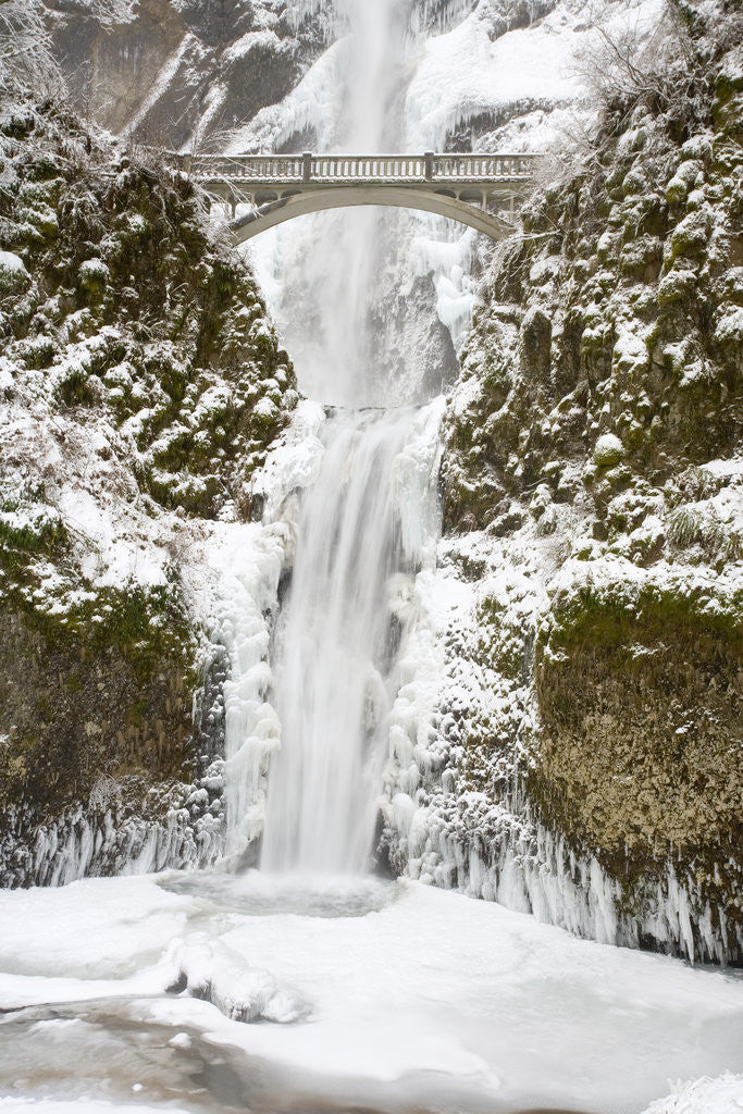 Detail of Multnomah Falls in Winter by Corbis
