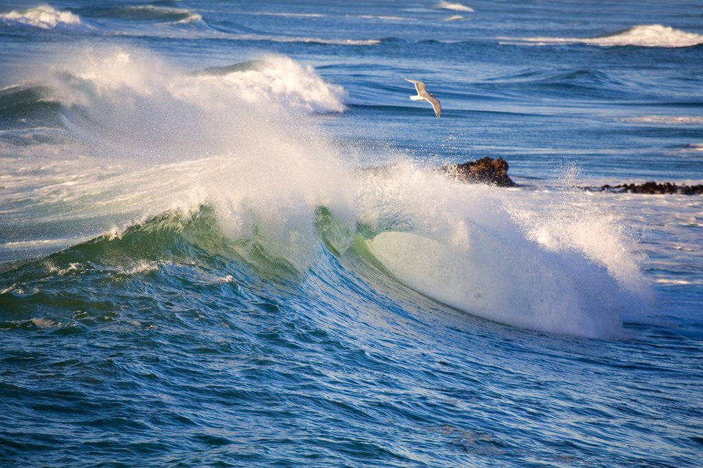 Detail of Heavy Surf off Cape Kiwanda on Oregon Coast by Anonymous