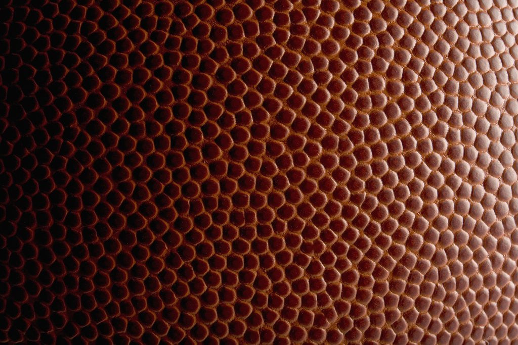 Detail of Football Surface by Anonymous