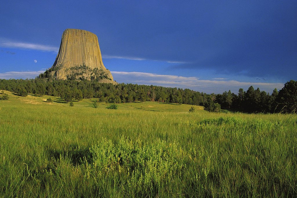 Detail of Devils Tower National Monument by Anonymous