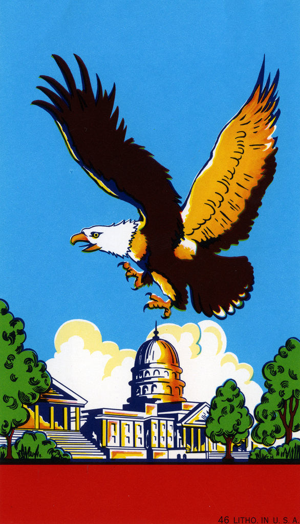 Detail of Broom label of Bald Eagle Over United States Capitol Building by Corbis