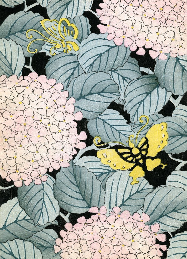Detail of Illustration of Hydrangeas and Butterflies by Anonymous