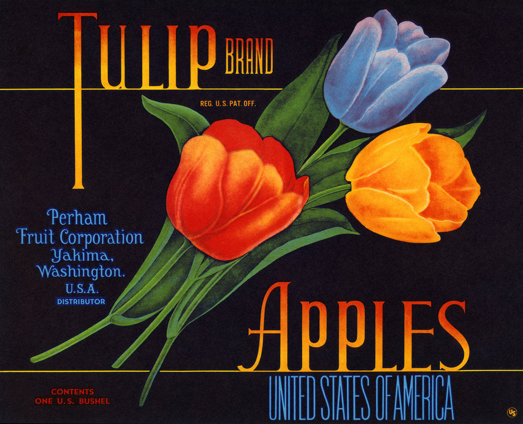 Detail of Tulip Brand Apples Fruit Crate Label by Anonymous