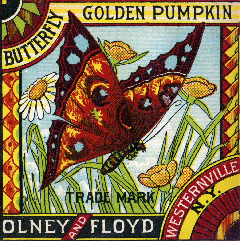 Detail of Butterfly Golden Pumpkin Product Label by Anonymous
