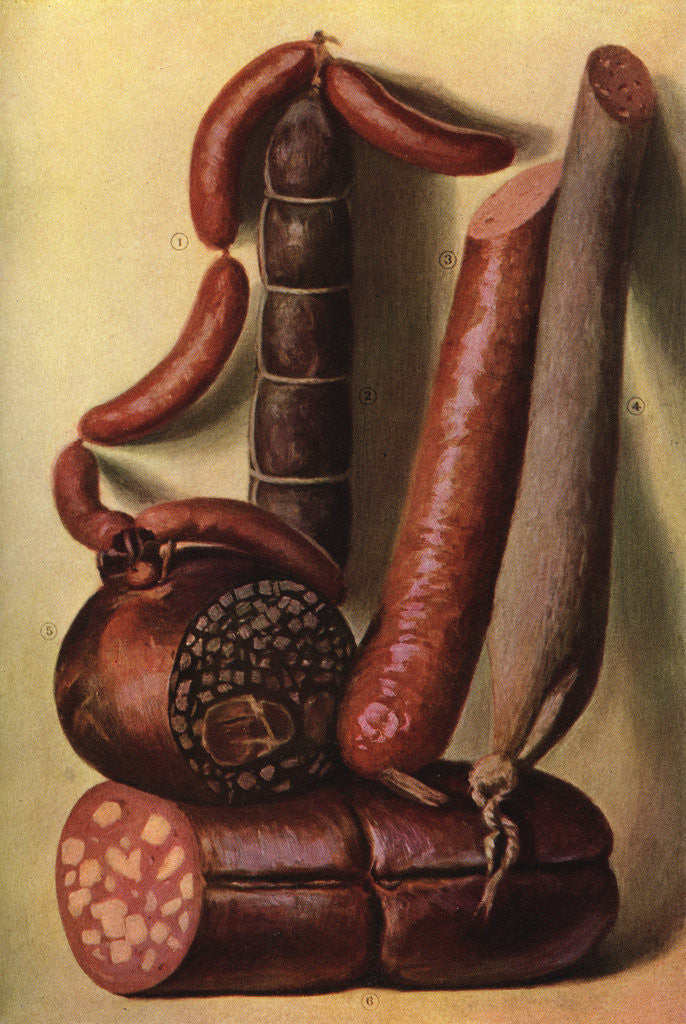 Detail of Illustration of Processed Meats by Anonymous