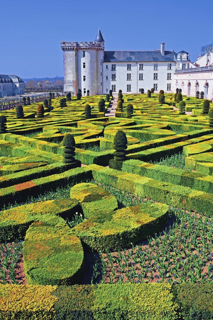 Detail of Chateau de Villandry and Garden by Anonymous