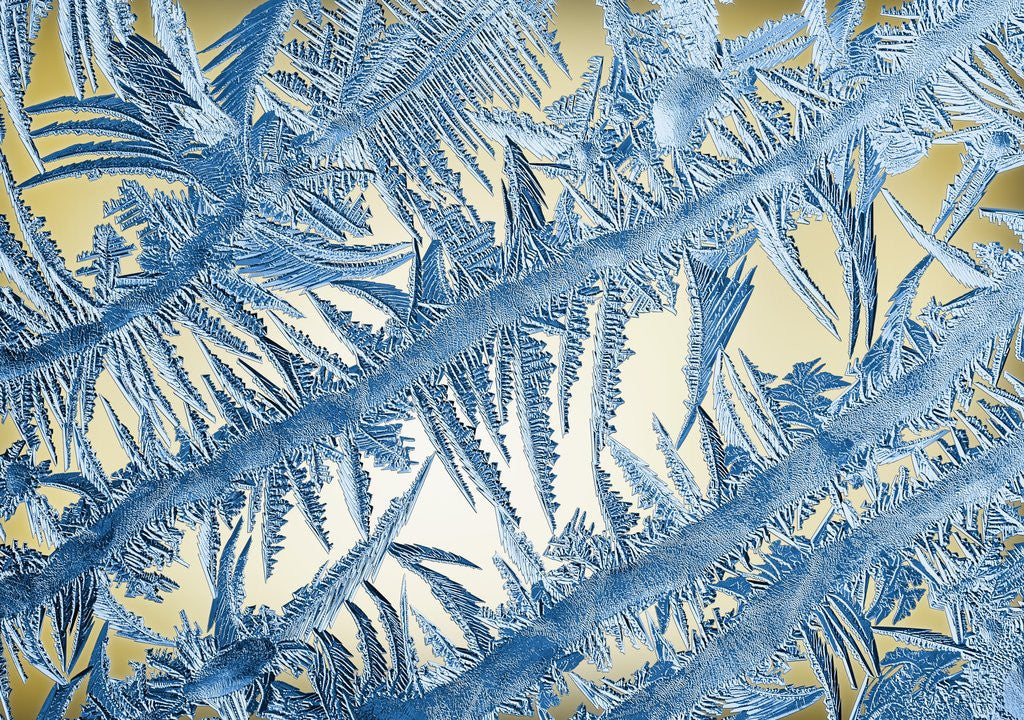 Detail of Frost on Glass by Anonymous