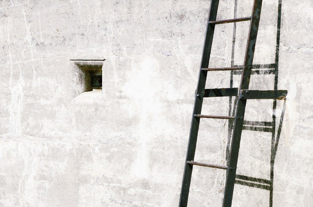 Detail of Fort Ladder 1 by David Roseburg