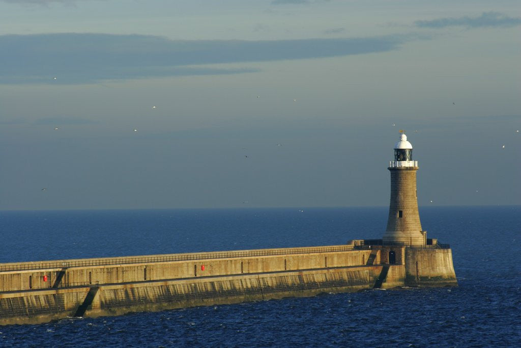 Detail of North Pier Lighthouse by Anonymous