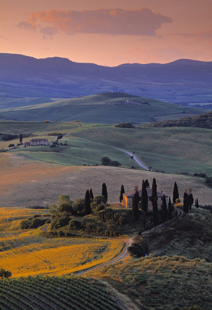 Detail of Val d'Orcia by Anonymous