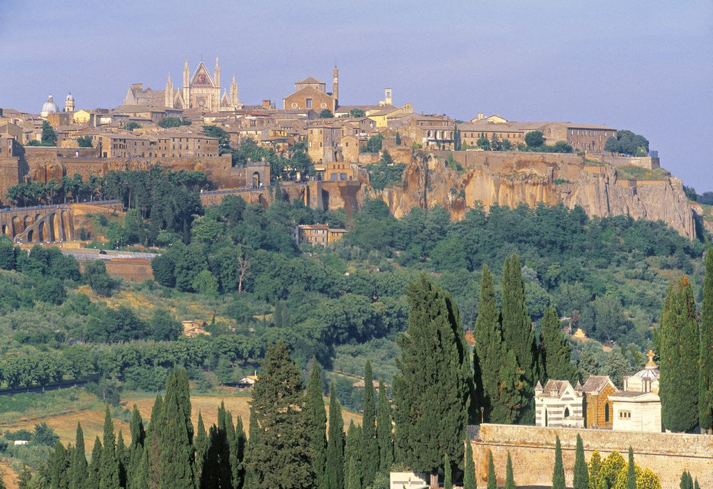 Detail of View of Orvieto by Anonymous