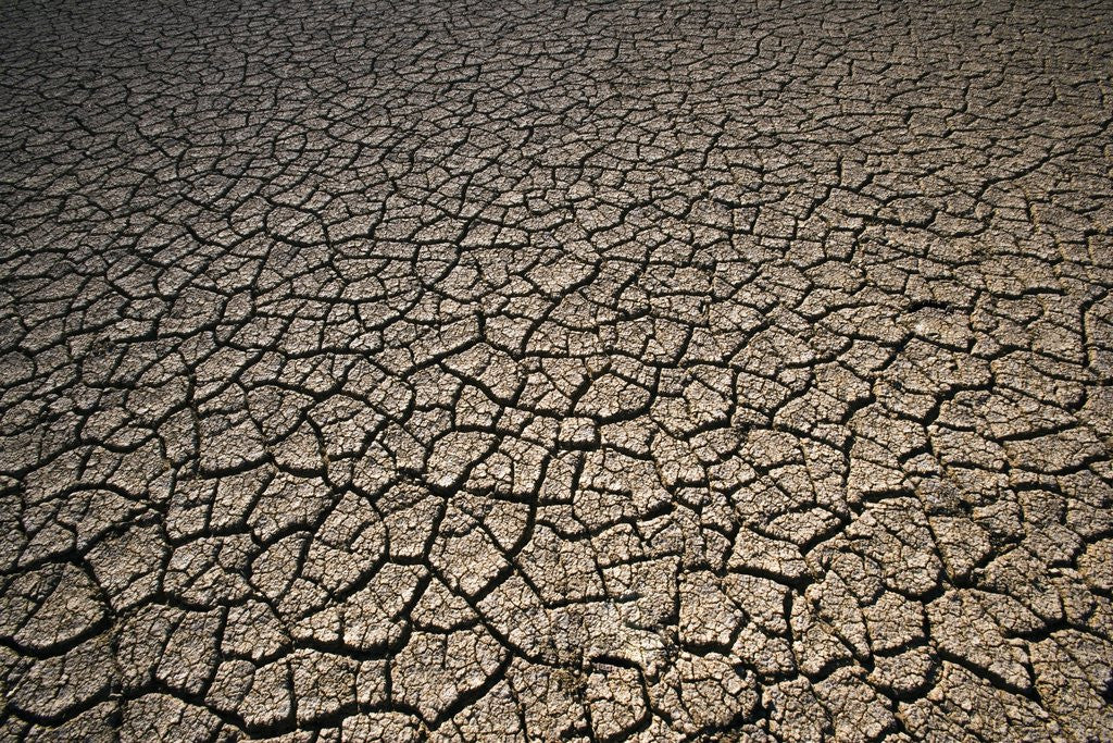 Detail of Eroding Ground of Desert by Anonymous